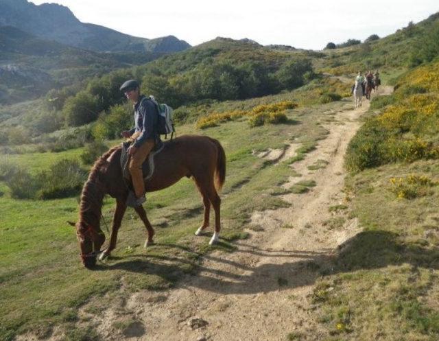 El caballo del guia se adelenta